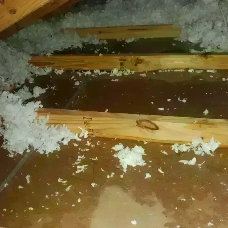 Attic Water Damage in Dayton, NJ