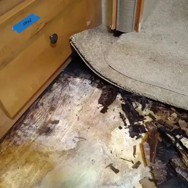 Wood Floor Water Damage in Dayton, NJ